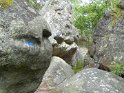 2018-05-24 14-55-28  Rando Fontainebleau FGn